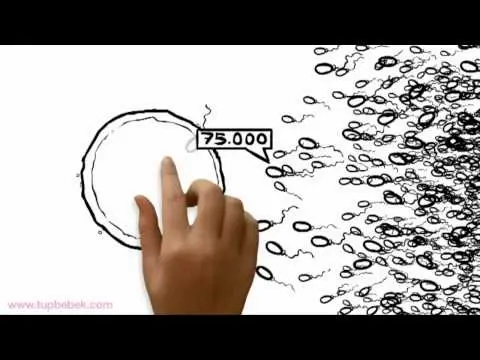 Tüp bebek tedavisi nedir (animasyon)