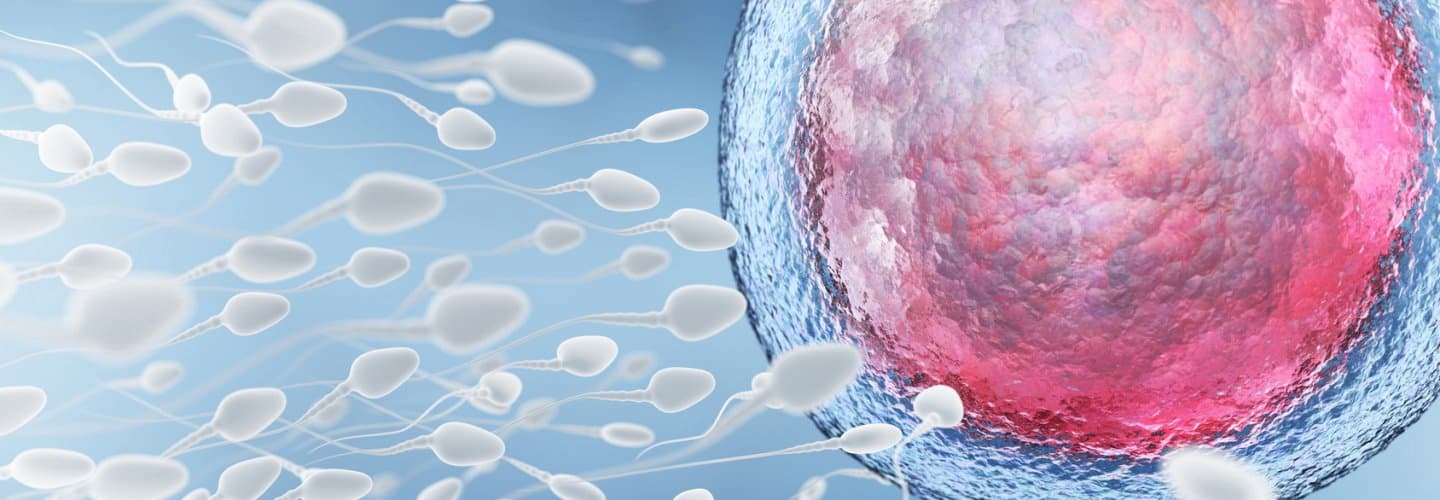 Spermiyogram (Sperm analizi)