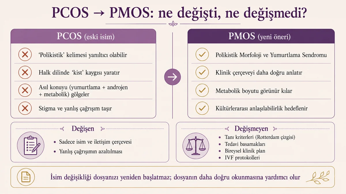 PCOS PMOS terminoloji karşılaştırma matrisi: eski isim yanıltıcı çağrışımları ve yeni poliendokrin metabolik over sendromu (PMOS) çerçevesi, değişen ve değişmeyen alanlar